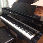 大人のピアノレッスン受付中です 大人の人気の習い事はドレミパレットたかのやピアノ教室